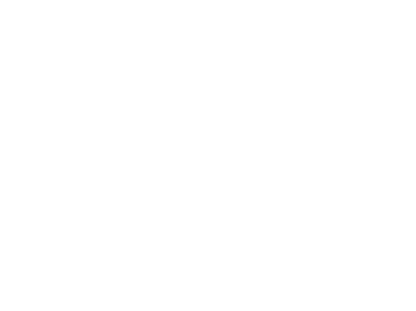 LisaJPlett